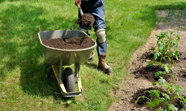 CHOOSING COMPOST