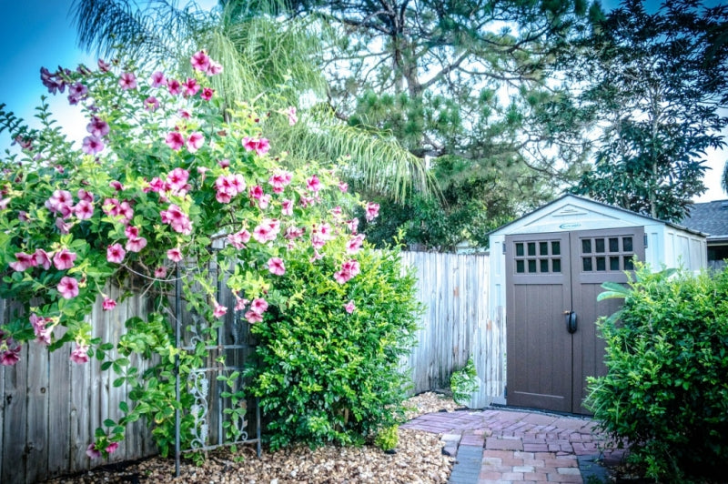 GARDEN BUILDINGS DONT HAVE TO BE SHEDS